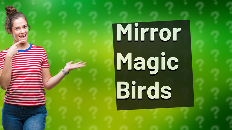 Mirror Magic Birds