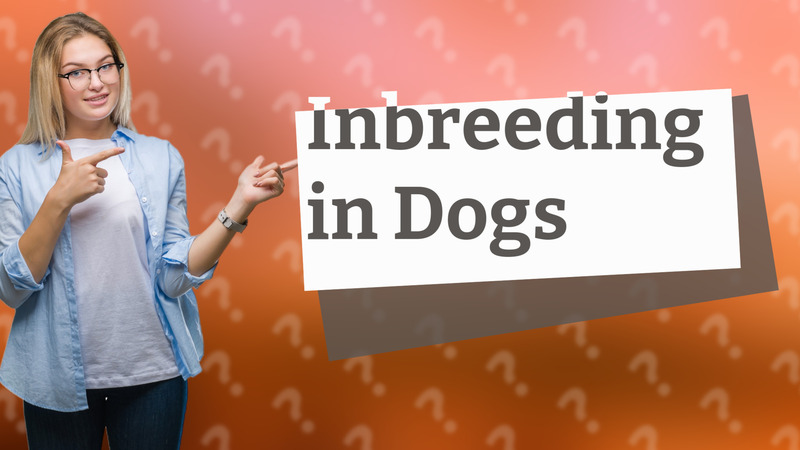 Inbreeding in Dogs