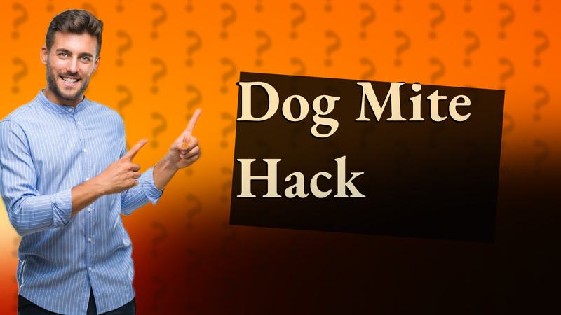 Dog Mite Hack