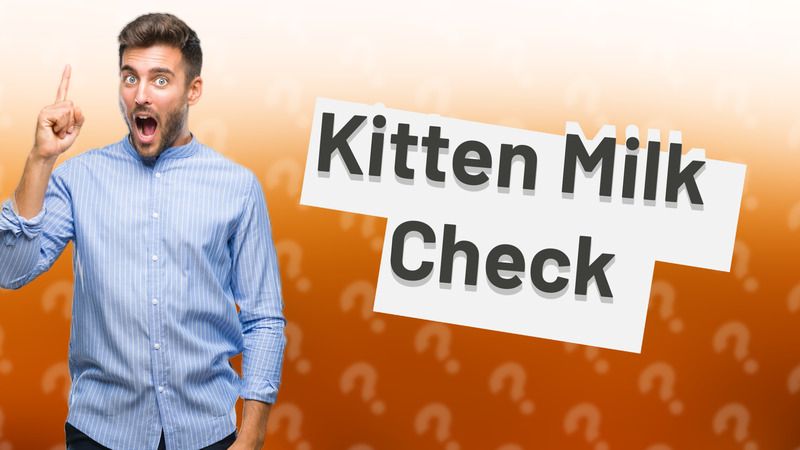 Kitten Milk Check