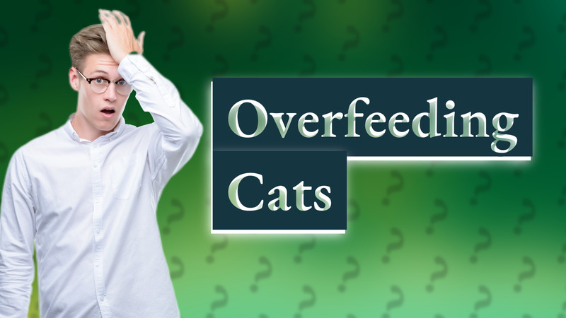 Overfeeding Cats