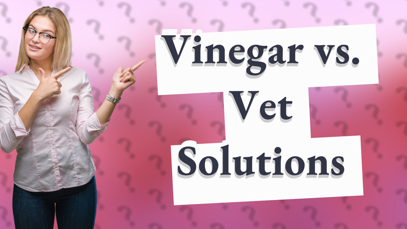 Vinegar vs. Vet Solutions