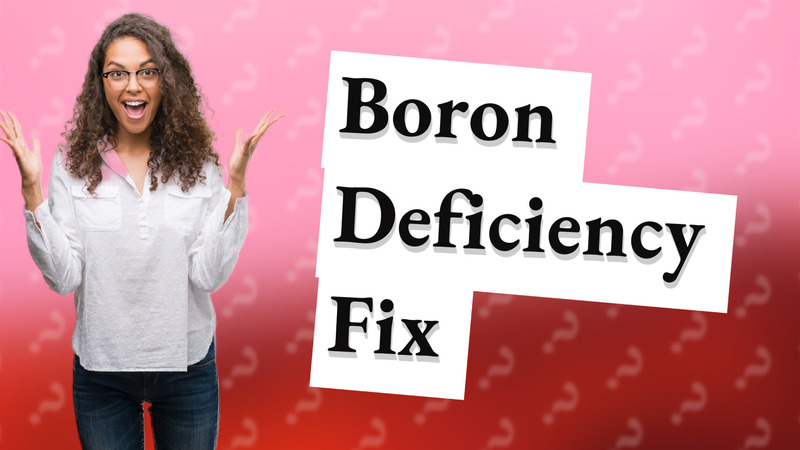 Boron Deficiency Fix