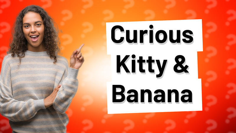 Curious Kitty & Banana