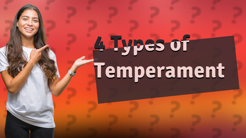 4 Types of Temperament
