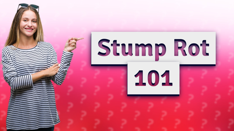 Stump Rot 101