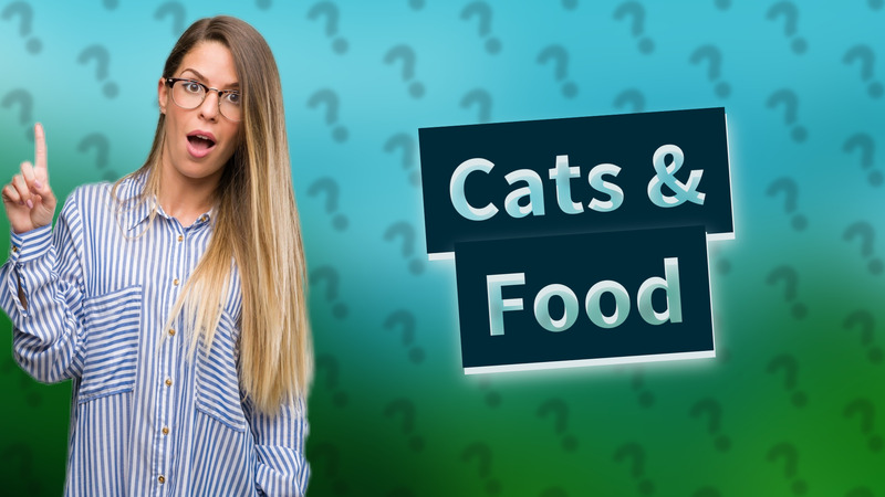 Cats & Food