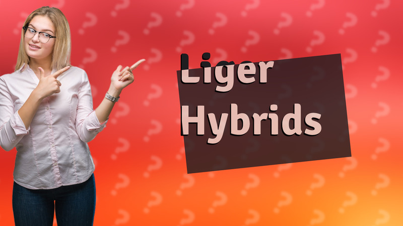 Liger Hybrids