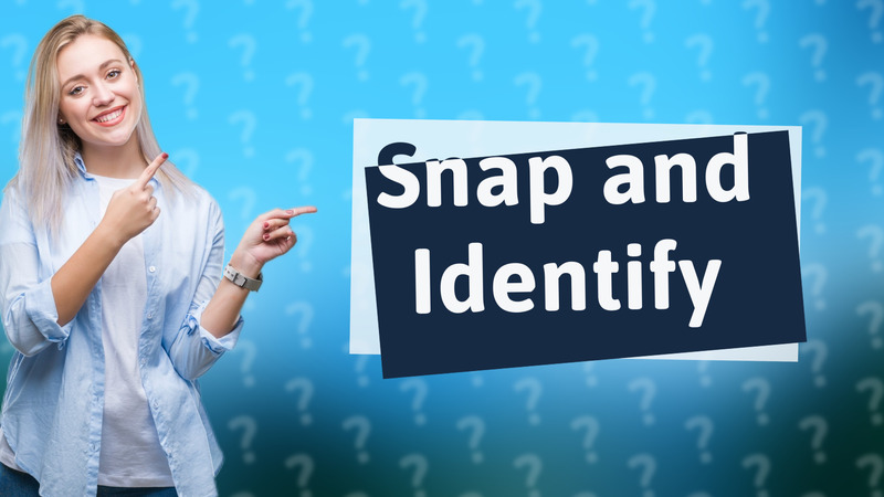 Snap and Identify