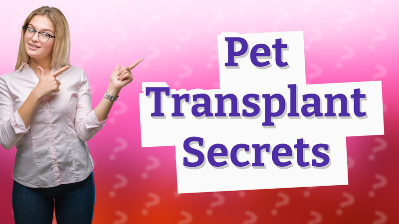 Pet Transplant Secrets