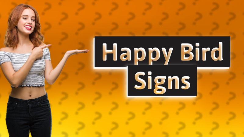 Happy Bird Signs