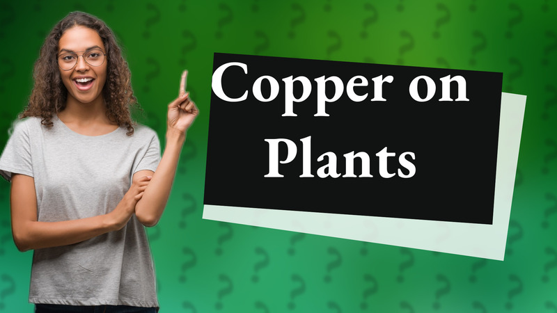 Copper on Plants