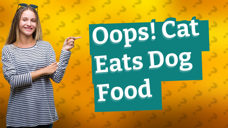 Oops! Cat Eats Dog Food