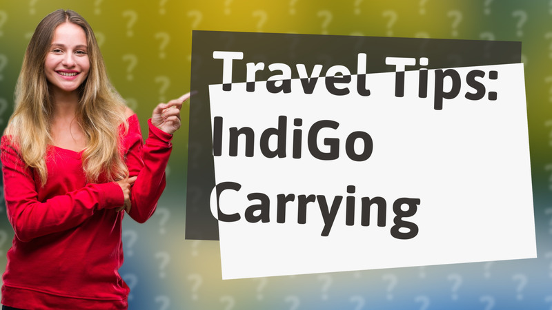 Travel Tips: IndiGo Carrying