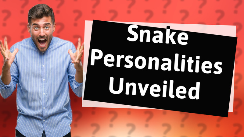 Snake Personalities Unveiled