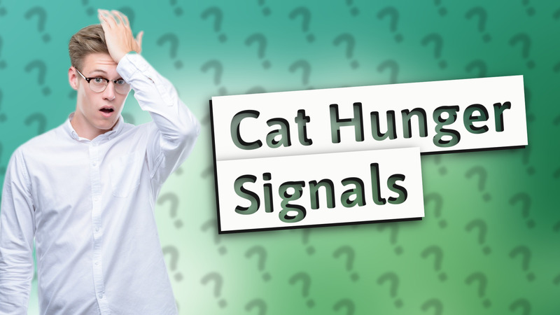 Cat Hunger Signals