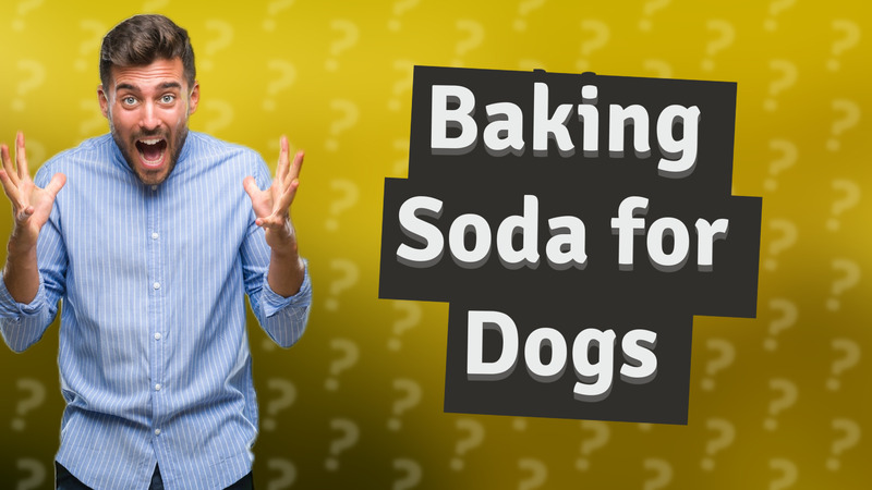 Baking Soda for Dogs