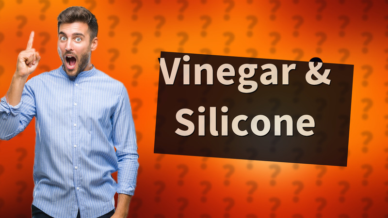 Vinegar & Silicone