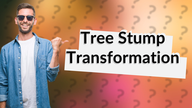 Tree Stump Transformation