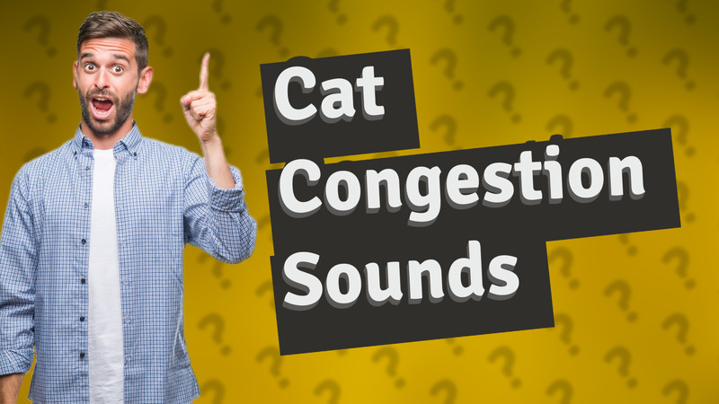 Cat Congestion Sounds