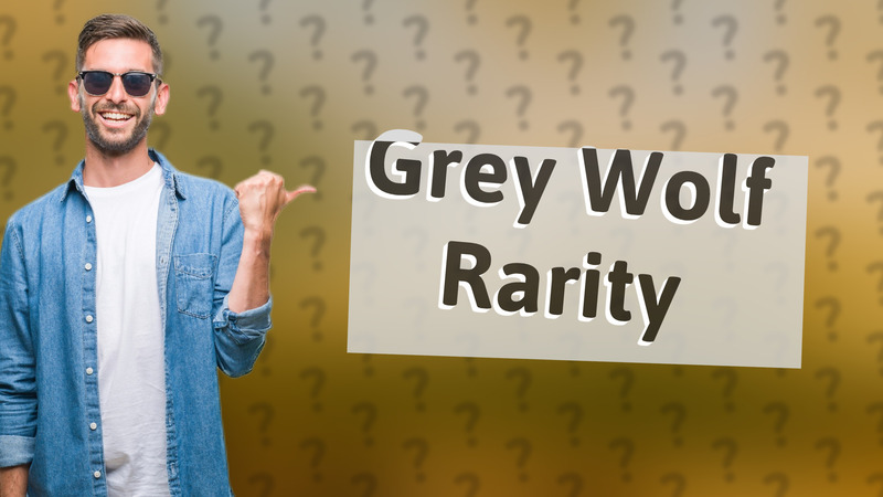 Grey Wolf Rarity