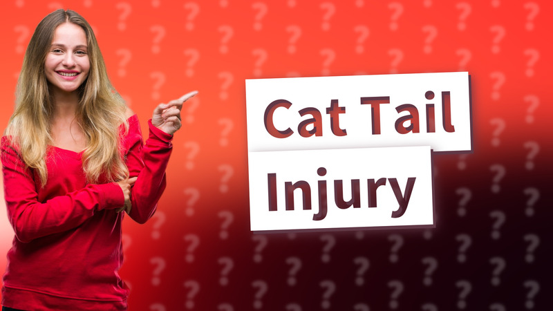 Cat Tail Injury