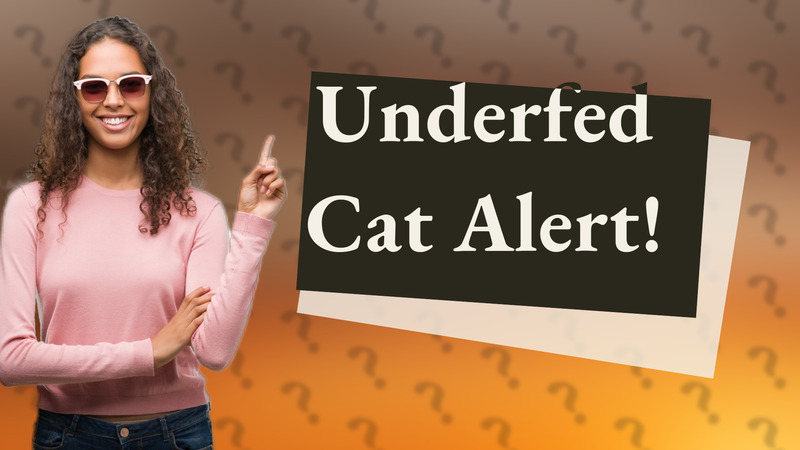 Underfed Cat Alert!