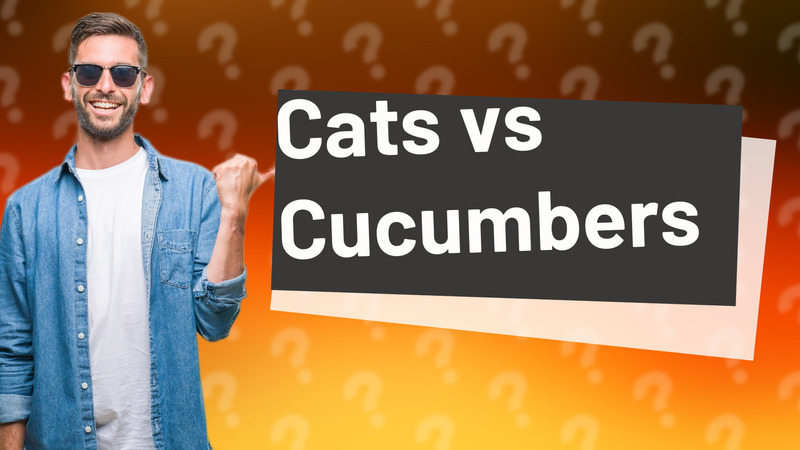 Cats vs Cucumbers