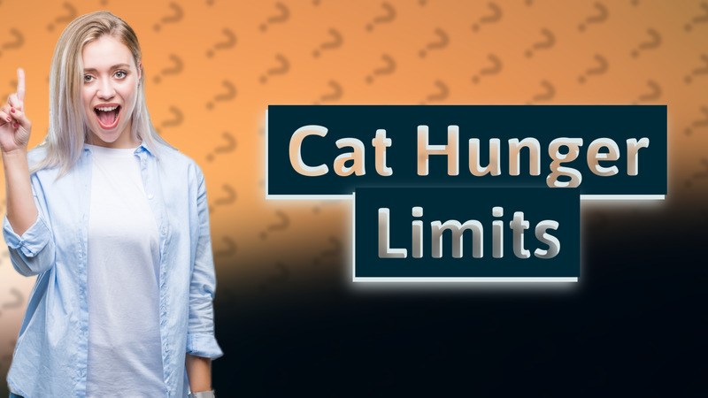 Cat Hunger Limits