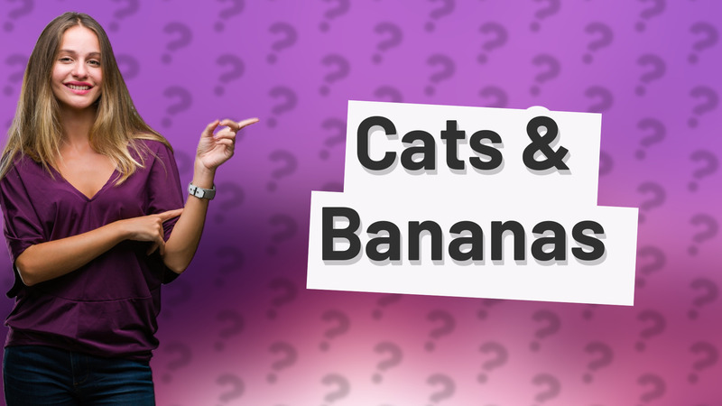 Cats & Bananas