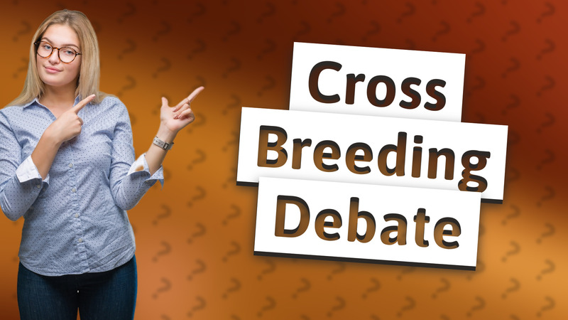 Cross Breeding Debate