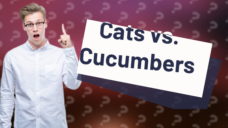 Cats vs. Cucumbers