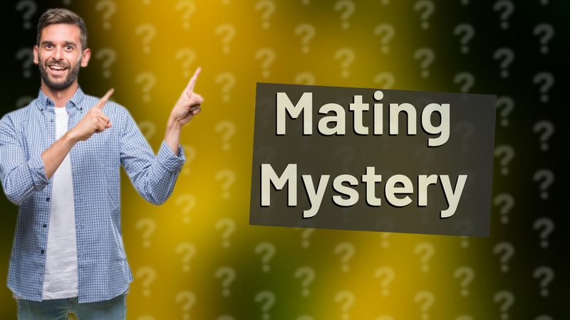 Mating Mystery