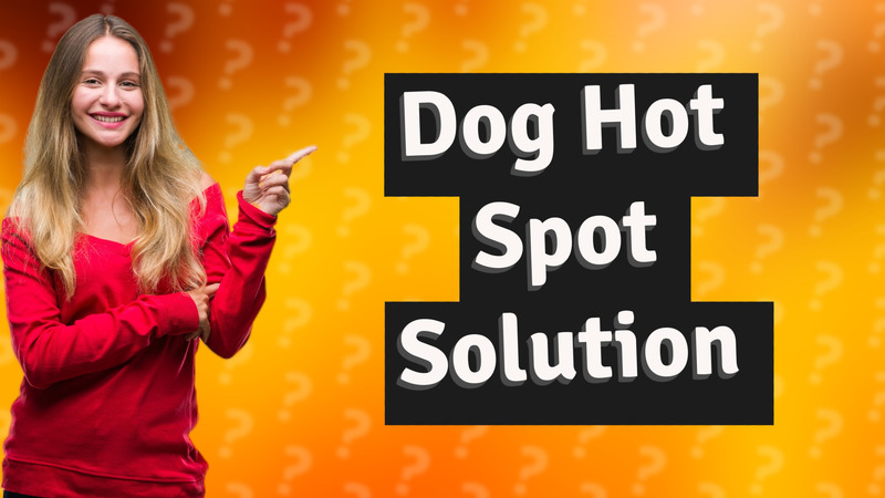 Dog Hot Spot Solution