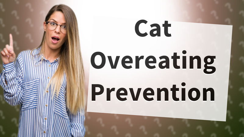 Cat Overeating Prevention
