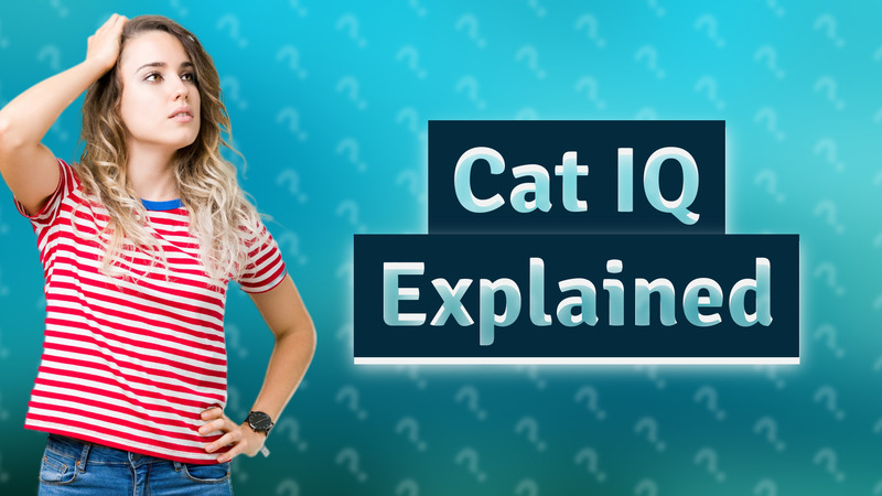 Cat IQ Explained