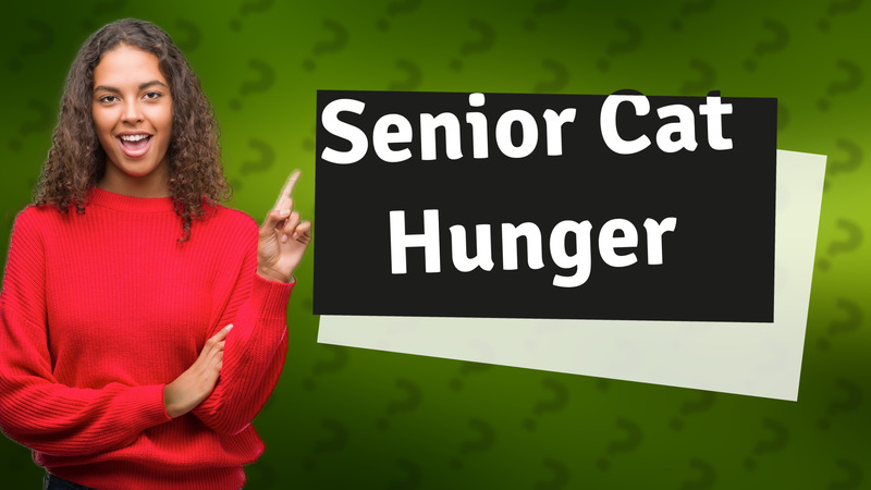 Senior Cat Hunger