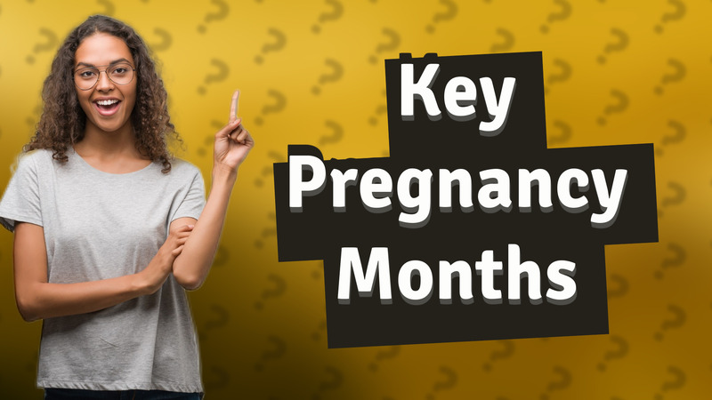 Key Pregnancy Months