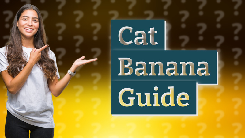 Cat Banana Guide