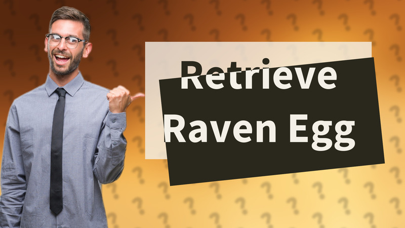 Retrieve Raven Egg