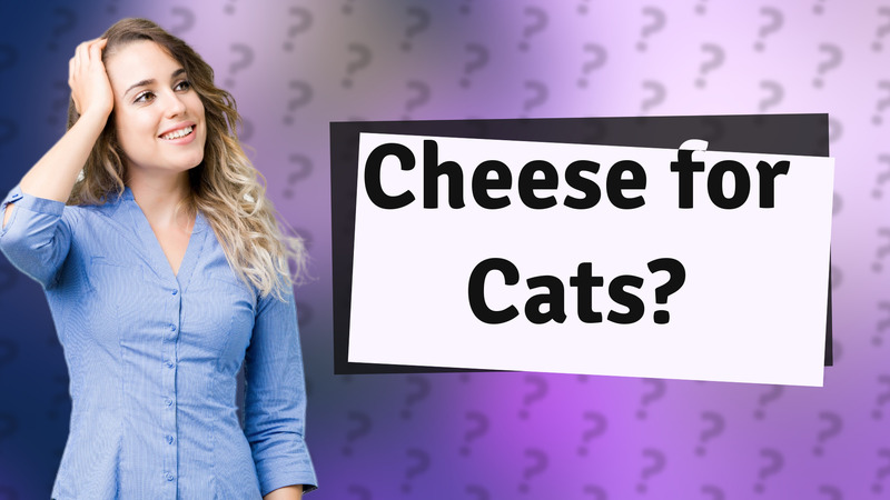 Cheese for Cats?