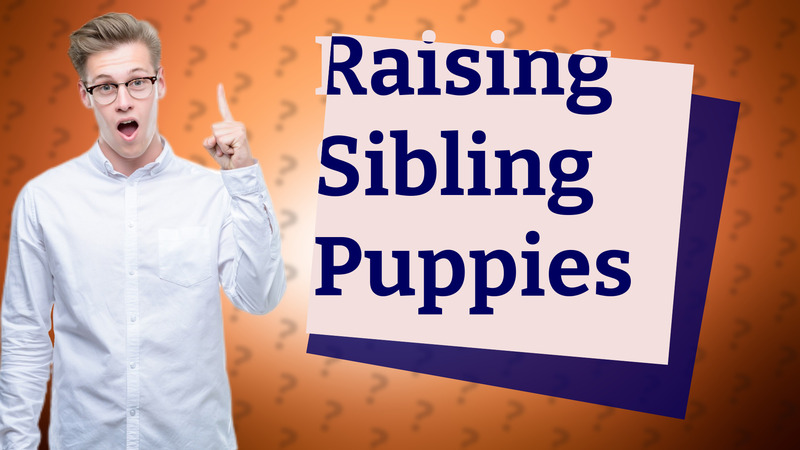 Raising Sibling Puppies