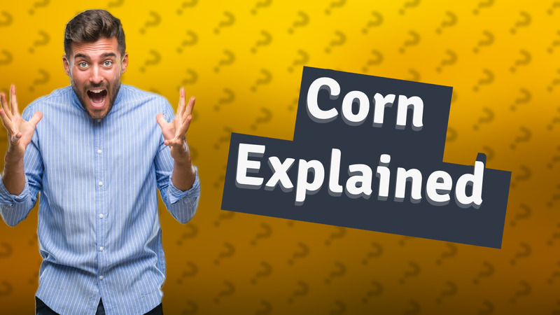 Corn Explained