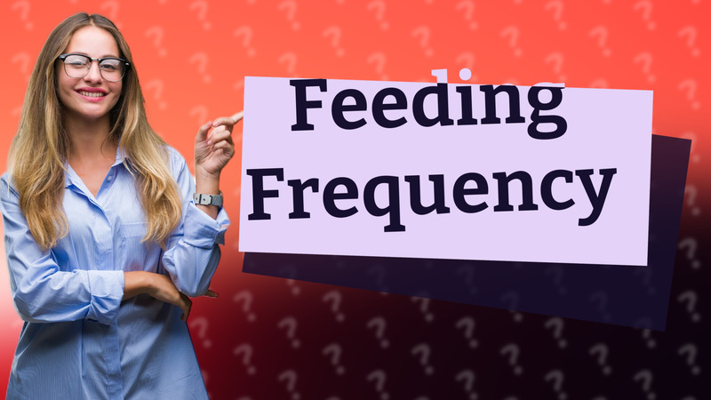 Feeding Frequency
