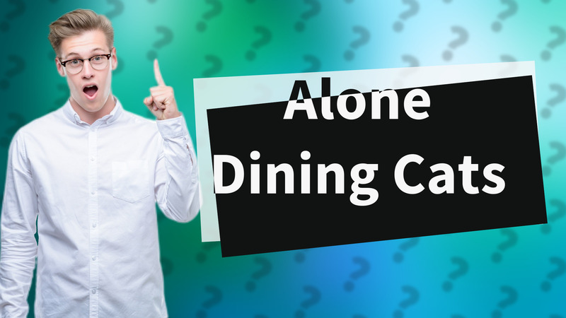 Alone Dining Cats