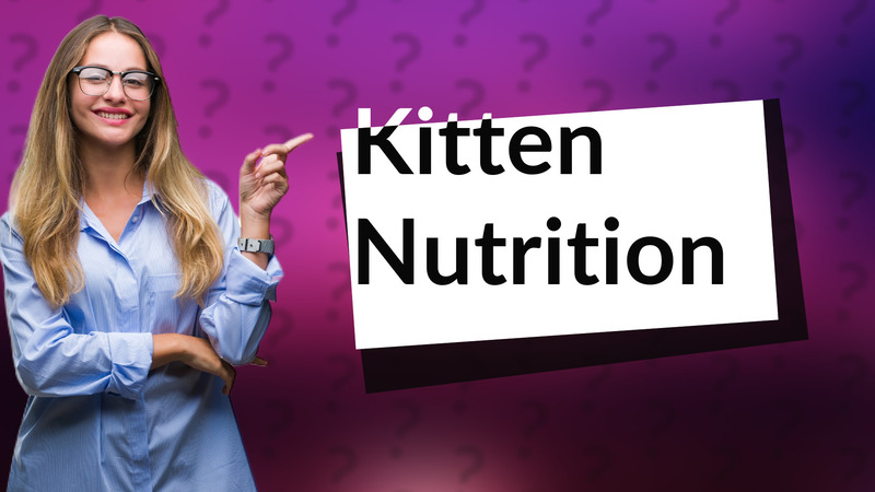 Kitten Nutrition