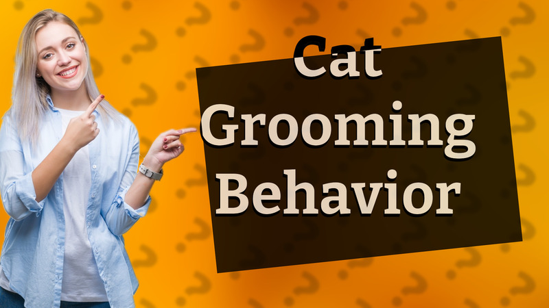 Cat Grooming Behavior