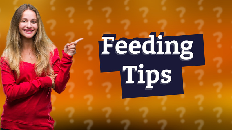 Feeding Tips