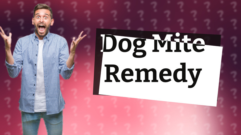 Dog Mite Remedy