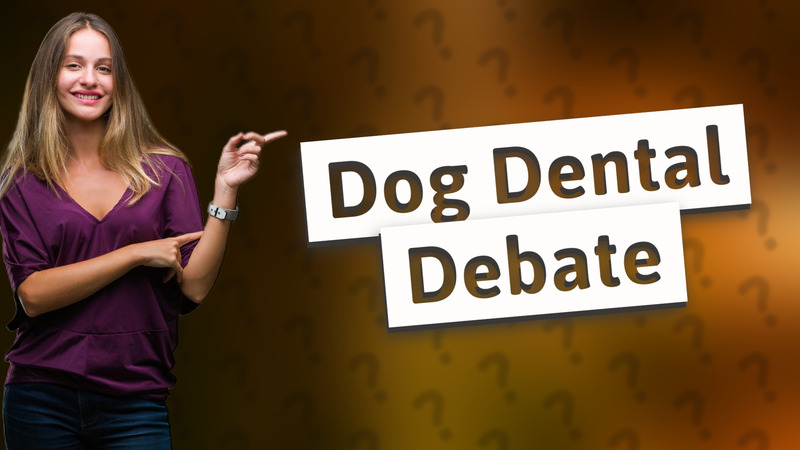 Dog Dental Debate